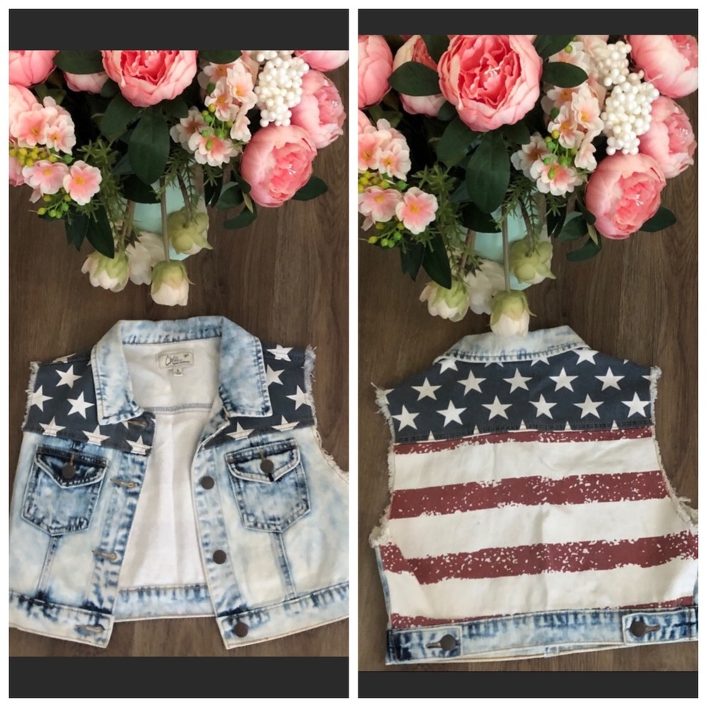 Chicle Denim Architect Vest